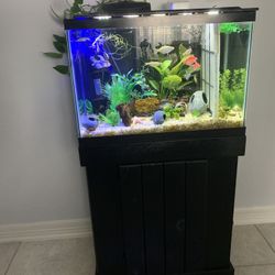 Fish Tank  And Accessories - Complete Setup