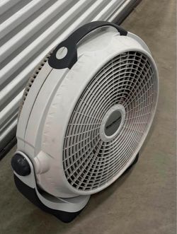 Fan
