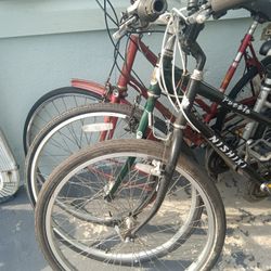 Adult Bicycles 
