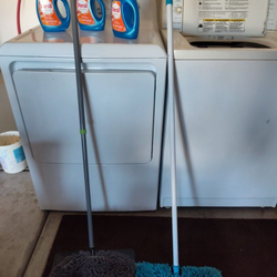 Mops $10 each