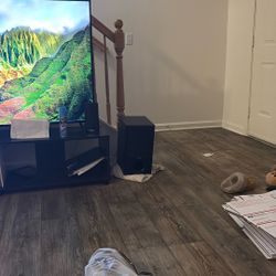 Tv Speaker On The Right 