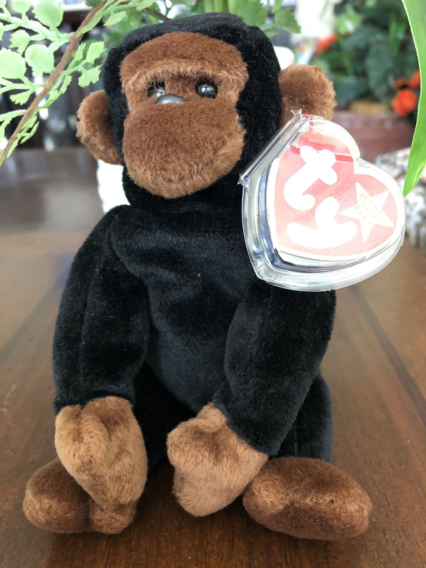 Beanie Baby Congo