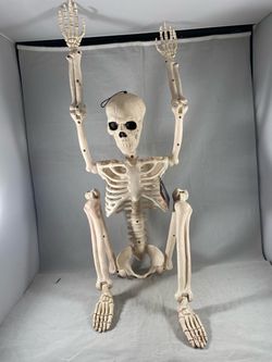 3 foot skeleton Halloween prop decoration