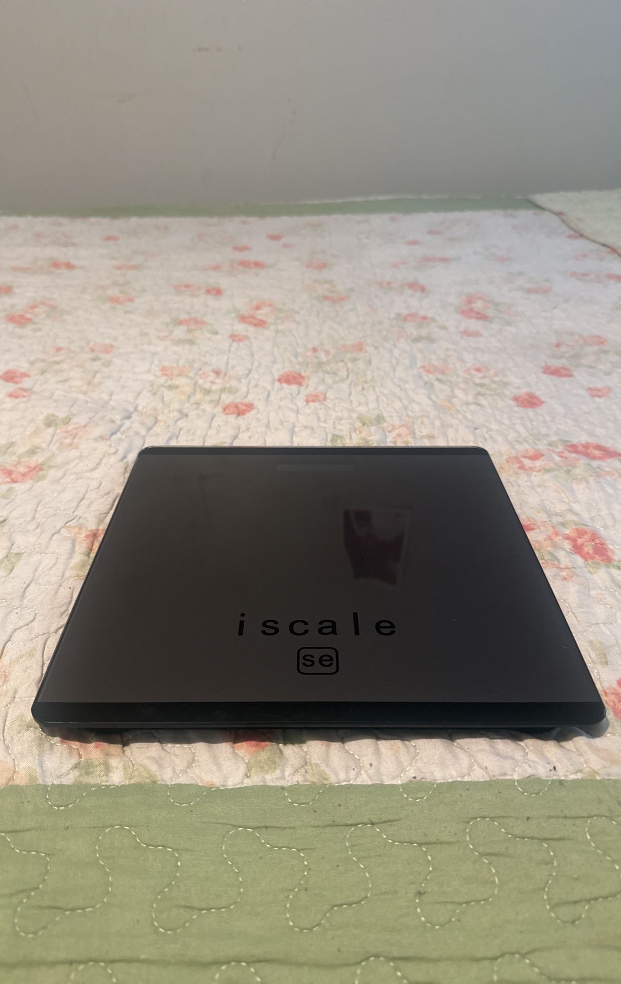 Iscale (se)