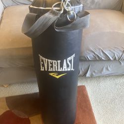Everlasting Punching Bag 50-60 Lbs