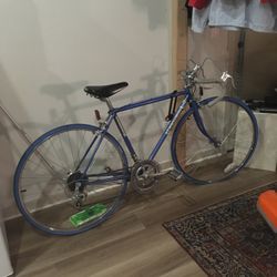 Vintage Schwinn Bike