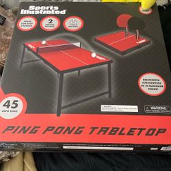 Ping Pong Table 