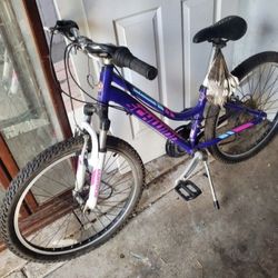 New Schwinn Mountain Bike