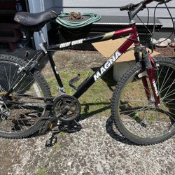 10speed Boys Bicycle 