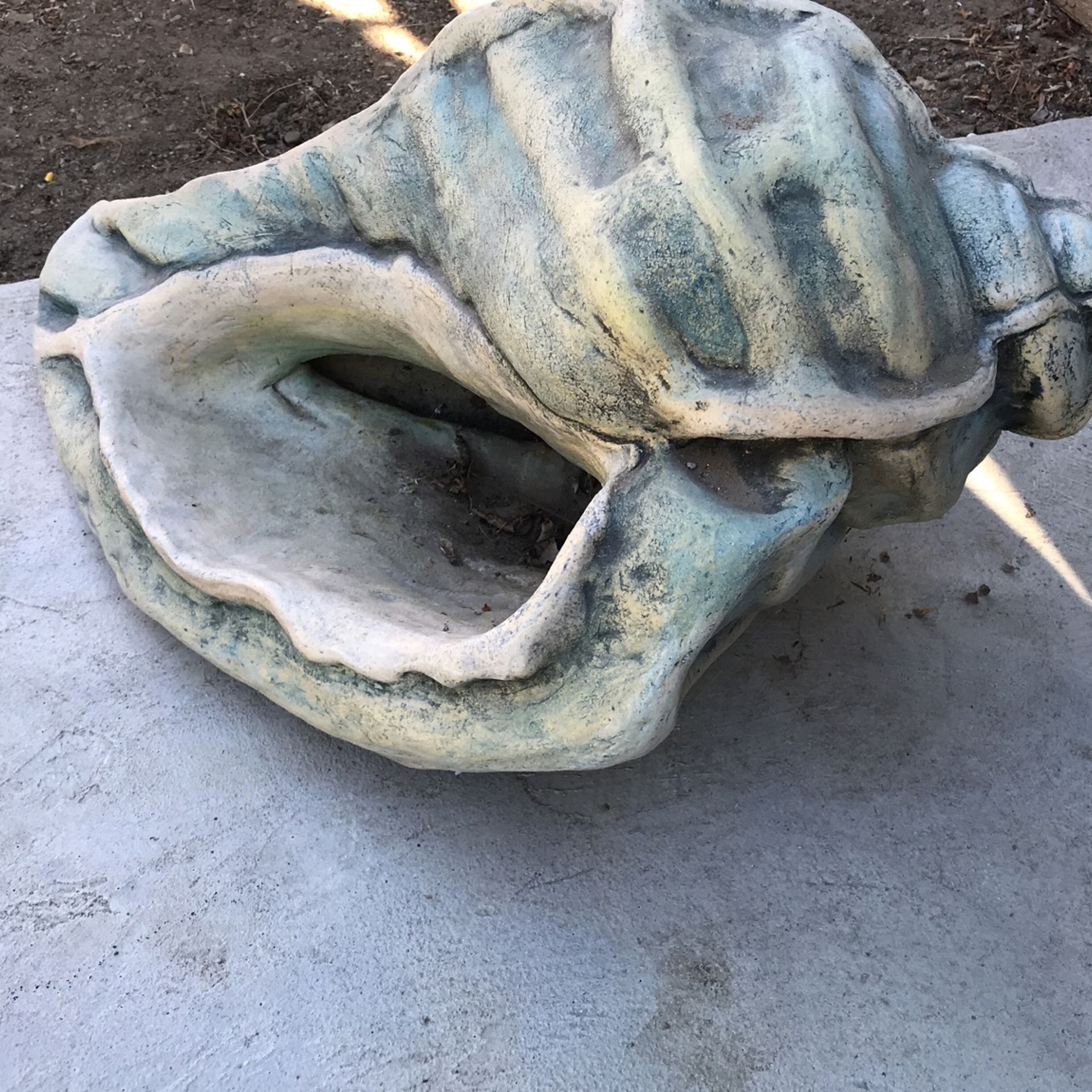 Sea Shell 1ft X 2 Ft