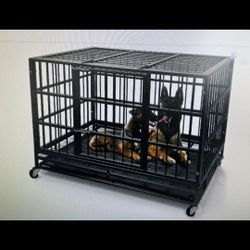 Dog Kennel