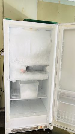 Ice 🧊 is $1 & Freezer is FREE 😆