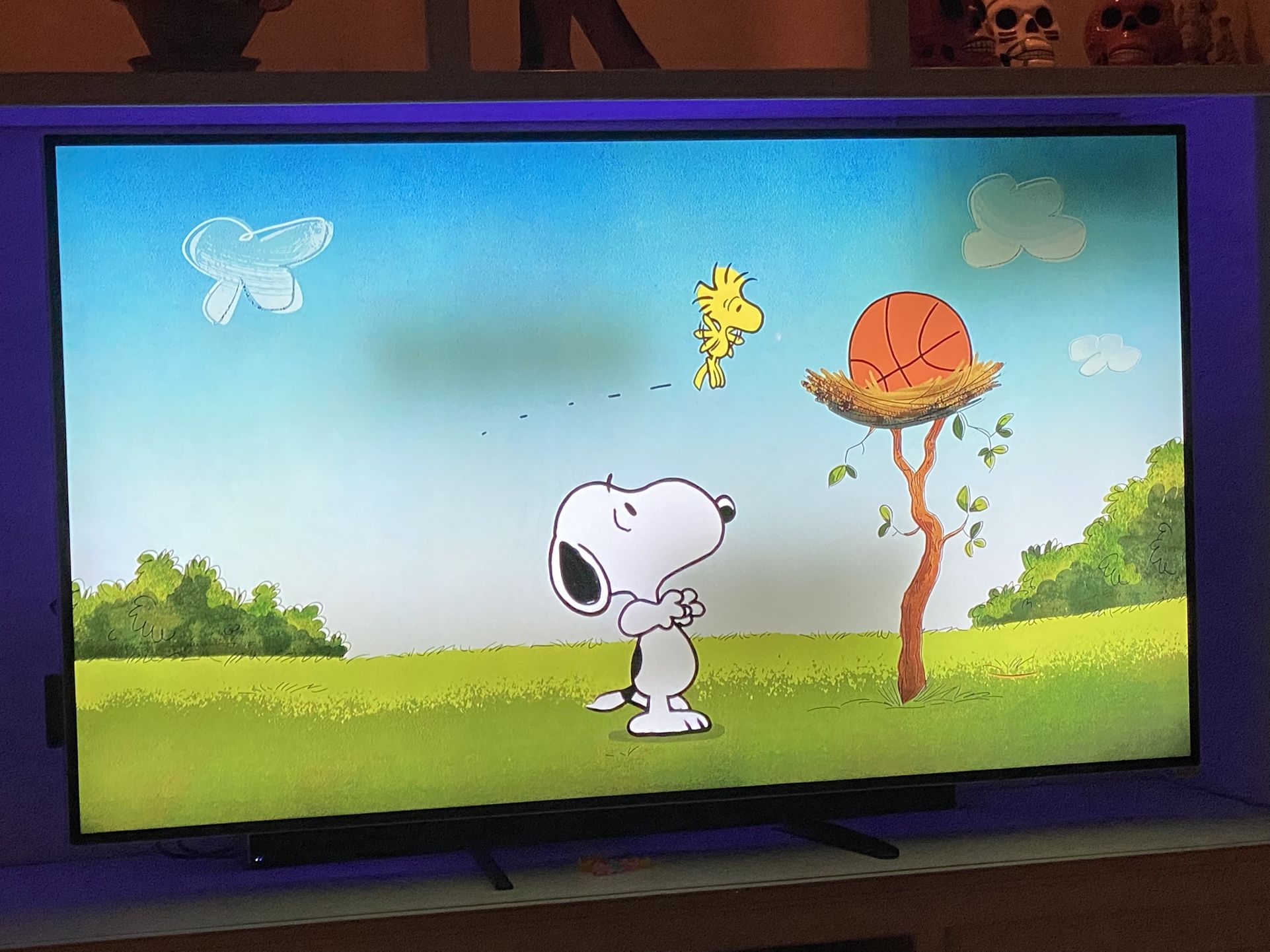 65 in Vizio Tv