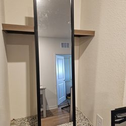 Wall/Door Mirror