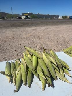 Elotes Mexicanos