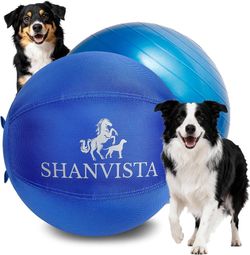 Herding Ball for Dogs(brand new)
