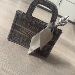 Dior Bag