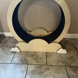 Cat Exercise Wheel With Brake