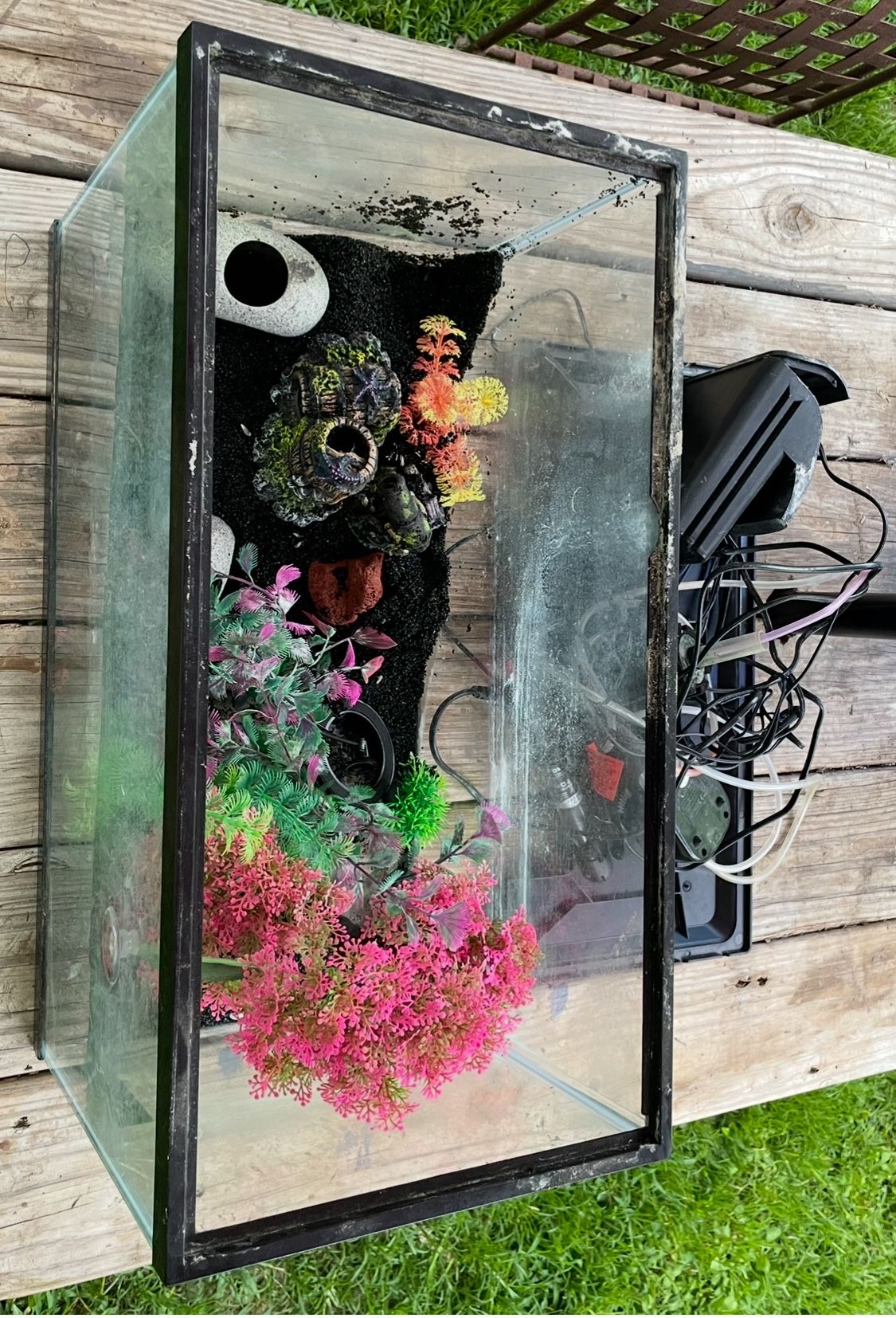 Fish Tank Will All The Supply $50