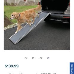 Dog Ramp