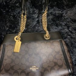 coach brooke chain carryall