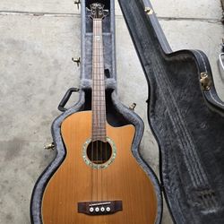 Michael Kelly-Acoustic/Electric Bass