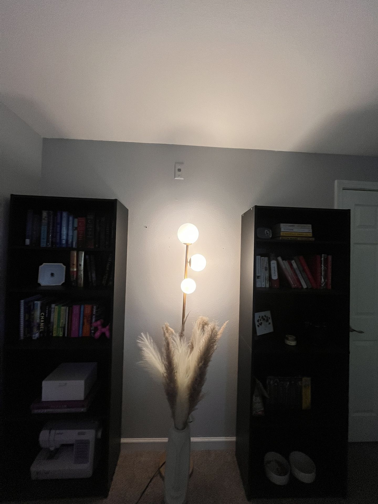 2 Black Bookshelves