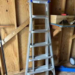 Werner 25 Foot Ladder