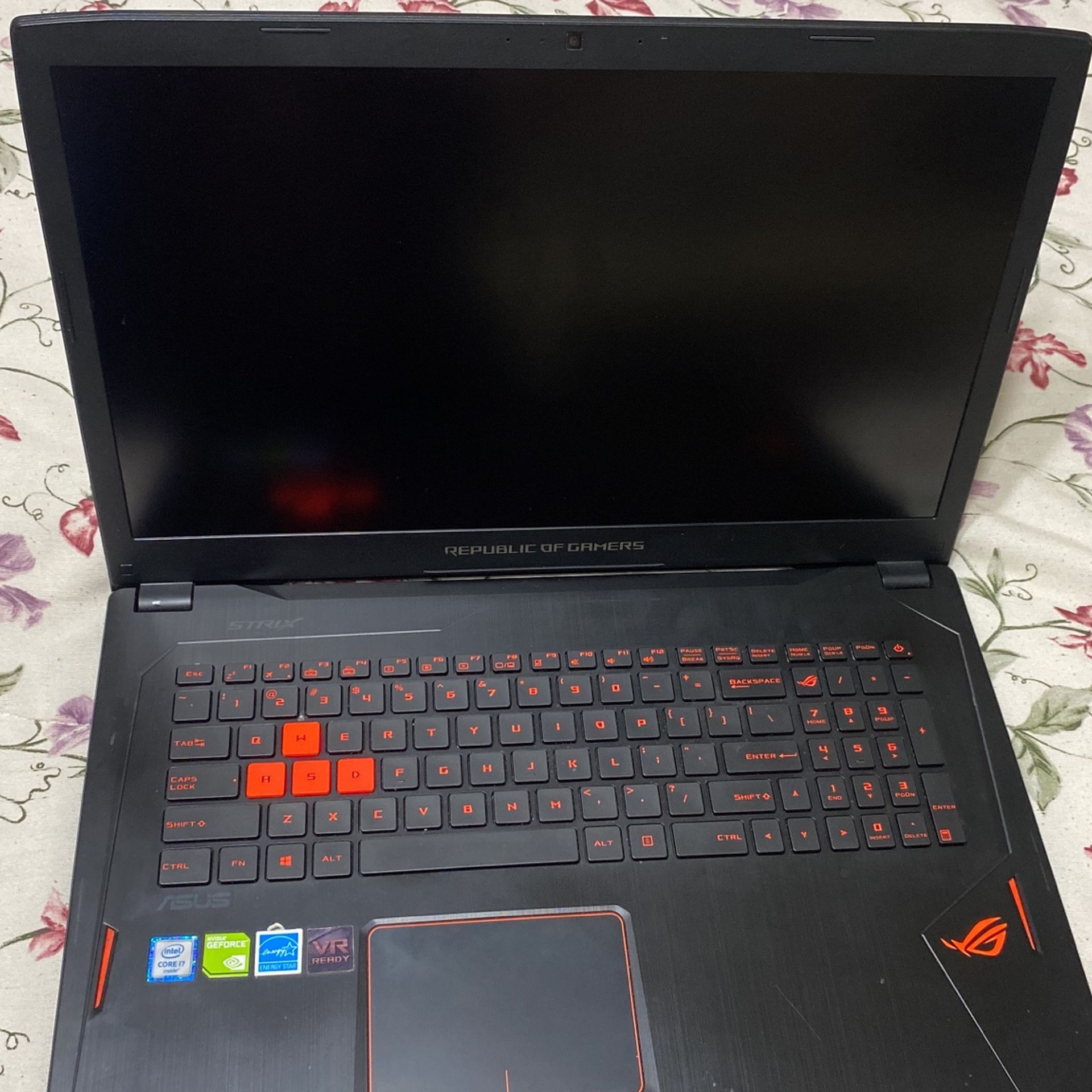 Asus RoG Strip 17.3” Gaming Laptop