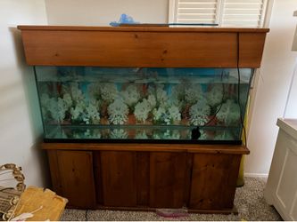 fish tank