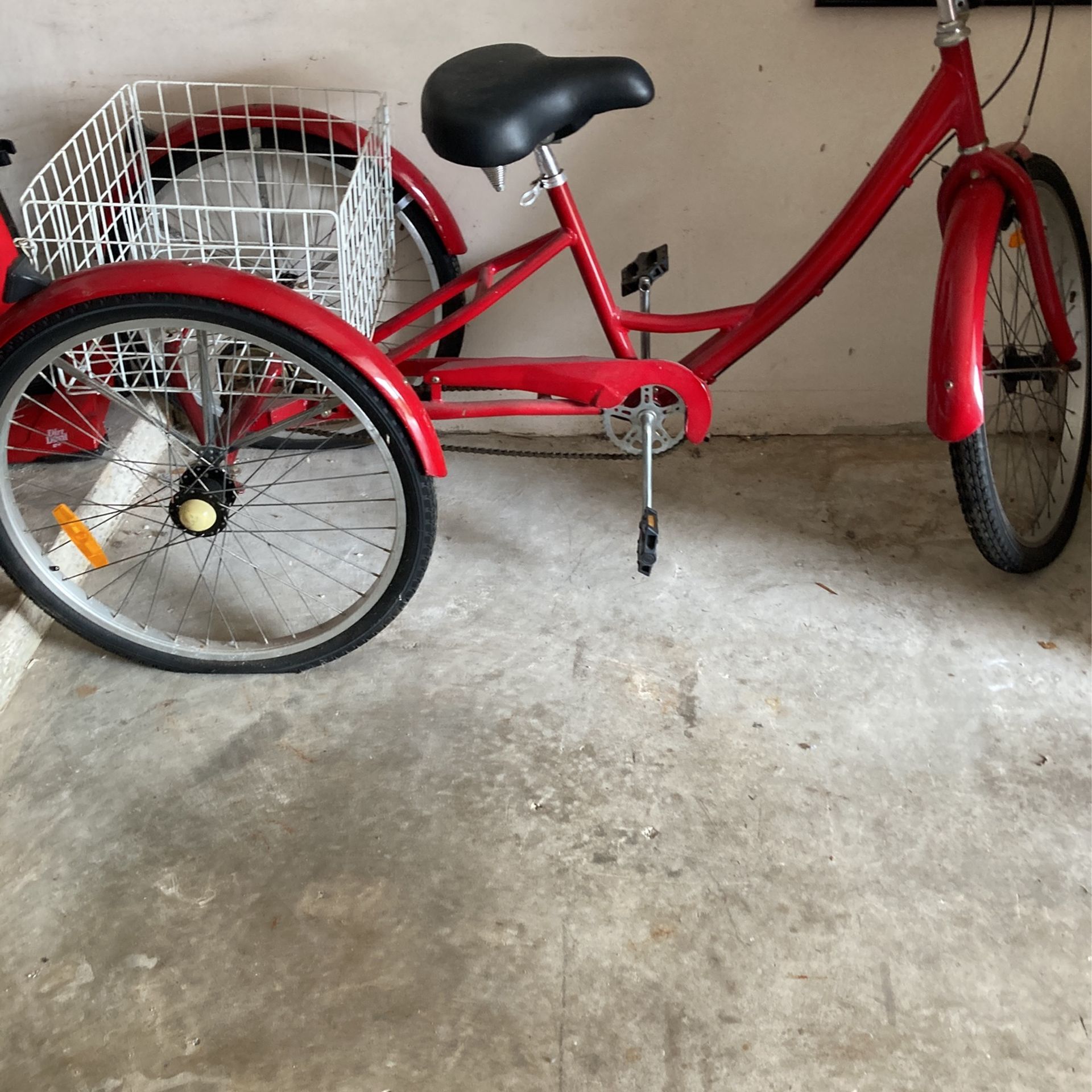 Adult Tricycle Bike