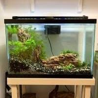 20 Gallon Fish Tank