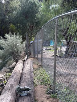 Fence