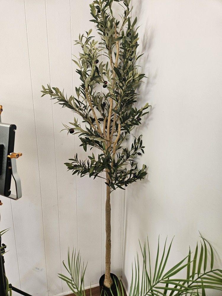 Olive Tree Artificial 