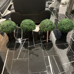 Modern, Contemporary, Black Fiberglass Pots With Topiaries. 19 Inches High. Indoor/Outdoor/Pick Up In Willowick.