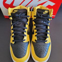 Nike Dunk Size 10