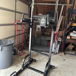 Sportsroyals Titan Fitness Heavy Duty Power Tower
