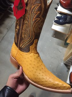 Bota vaquera exotica