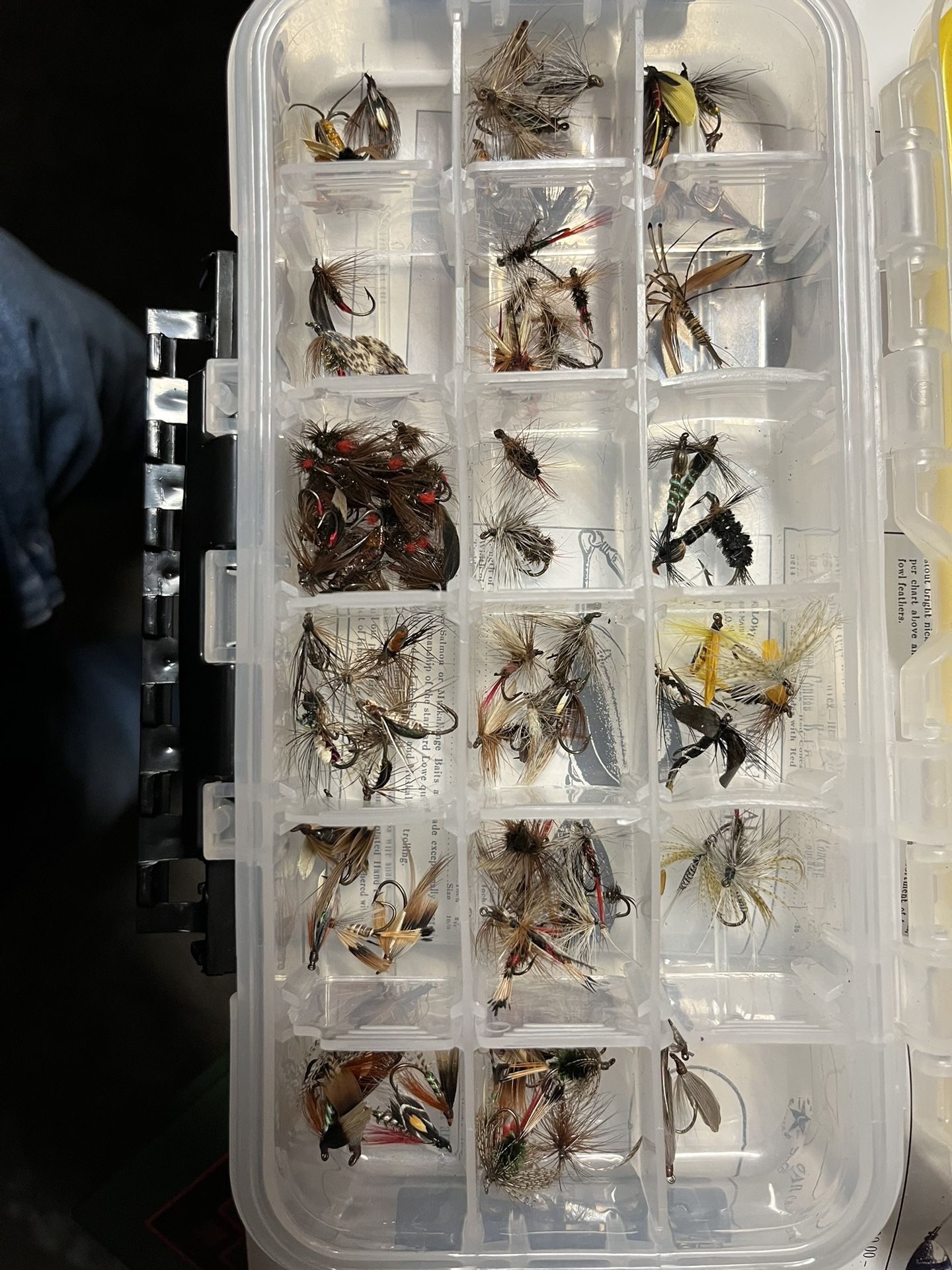 Vintage flies over 116