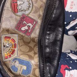 Snoopy X Coach Bag