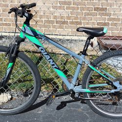 Boys Giant Revel Bike 26” Wheels - $100