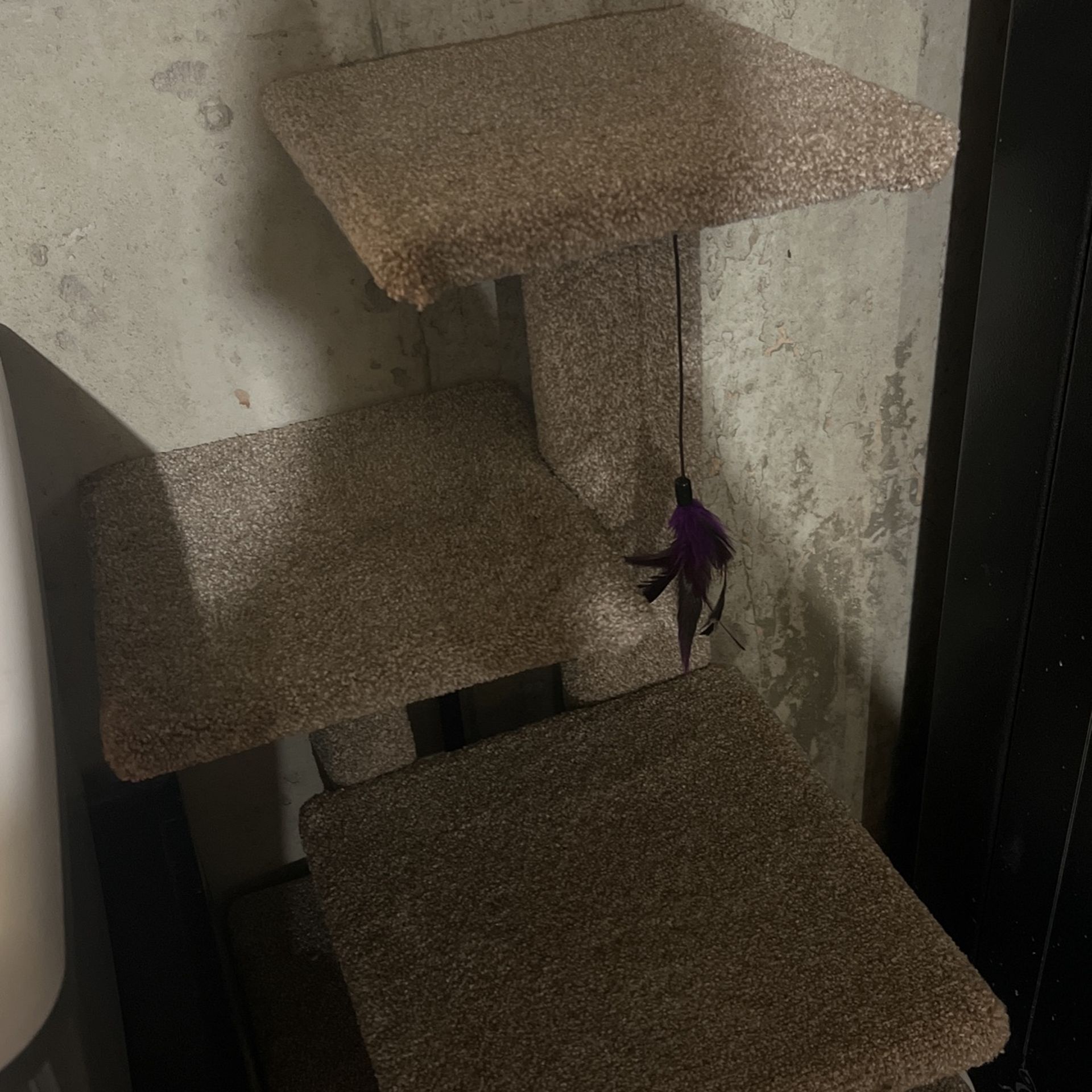 cat stand