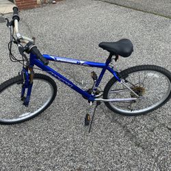 Adult Mountain Bike!