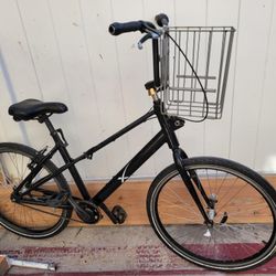 SpaceX Beach Cruiser Lightweight 