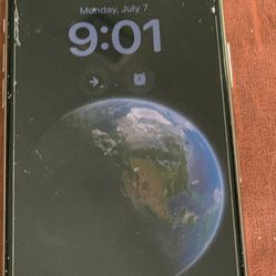 iPhone Pro Max