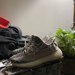 Zebra Yeezys Sz 4.5 
