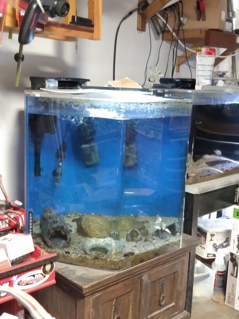 Fish Tank 