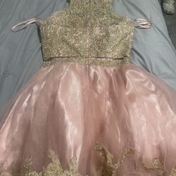 Light Pink With Gold Dress 