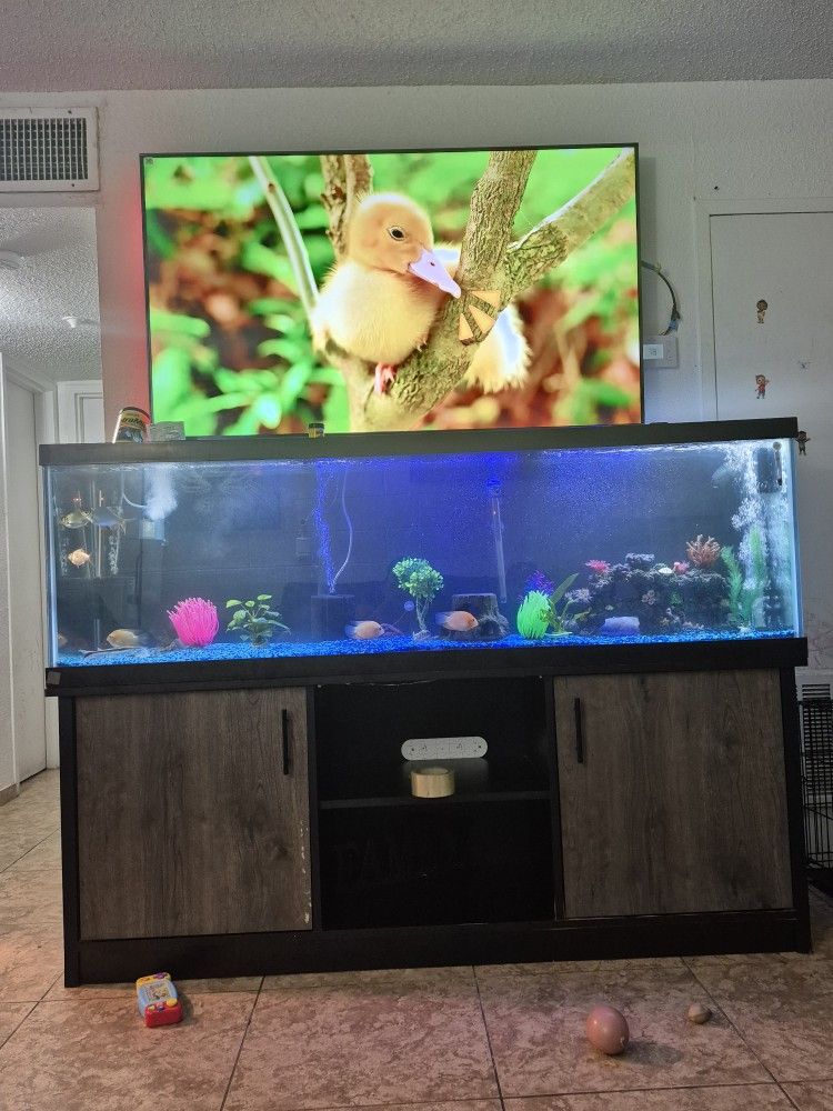 Fish Tank And Stand