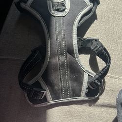 Dog Harness